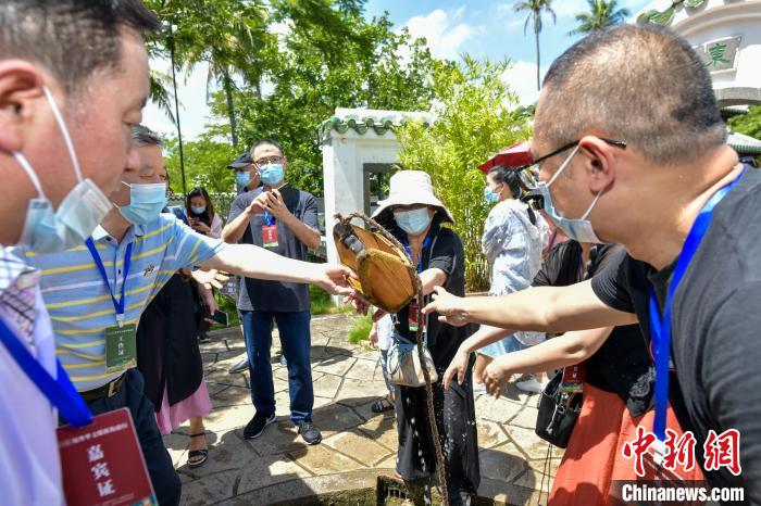 图为海外华文媒体高层人士在儋州东坡书院体验古井水。　骆云飞 摄
