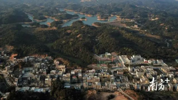 红场镇入选“2022年农业产业强镇创建名单”,是粤东地区唯一入选的镇。 南方+ 张伟炜 拍摄 图片