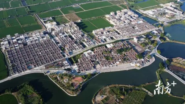 2021年,大寮村入选第二批全国乡村治理示范村镇名单 南方+ 张伟炜 拍摄 图片