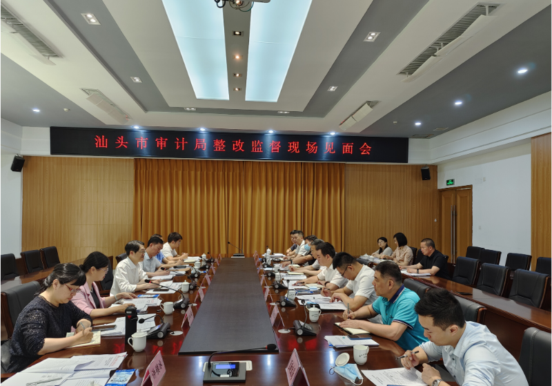 加强审计整改监督力度 为民生民利保驾护航