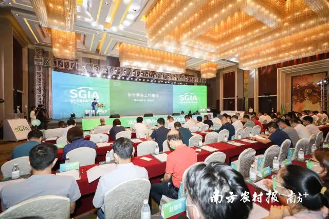 大会现场。 图片