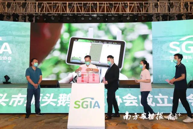 各会员单位代表现场投票。 图片