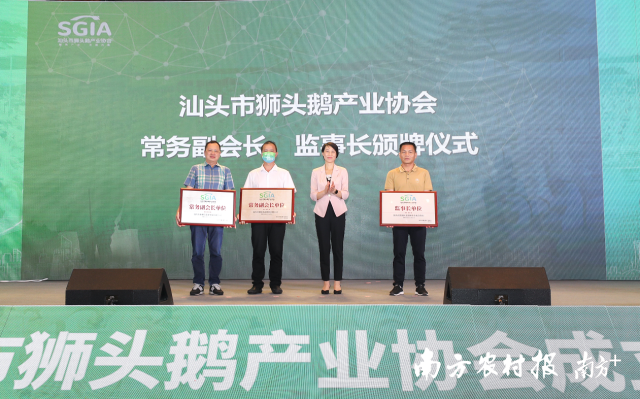 汕头市人民政府副市长王雪竹(右二)为协会常务副会长、监事长颁发牌匾。 图片