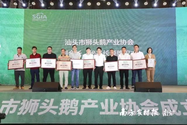汕头市农业农村局(市乡村振兴局)党组书记、局长黄华广为汕头市狮头鹅产业协会副会长徐伟汉、叶志雄、蔡艺青、李彬钿、李恒勤、林天彪、赖林枝、林广泉、余锡亮,秘书长邱丽君颁牌。 图片