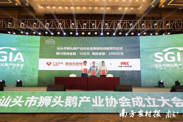 广东农信澄海农商银行、人保财险与协会达成战略合作。 图片