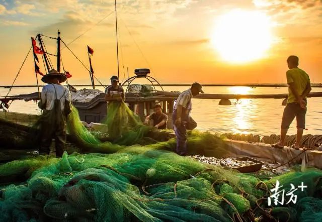 《打捕归来》,赵芝正 摄 图片