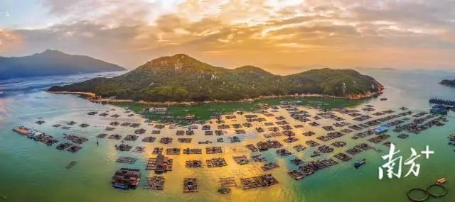 《深澳养殖场》,陈瑜 摄 图片