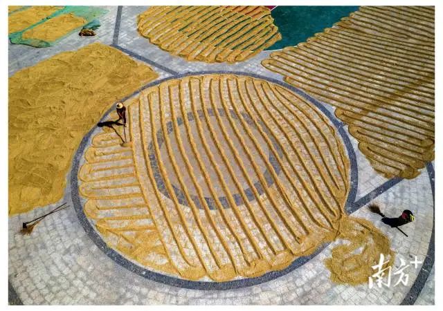 《晒谷》潮阳关埠,尤海群 摄 图片