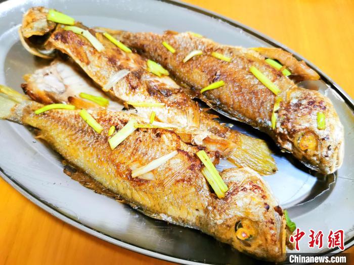 香煎大条䱛鱼 李晓春 摄