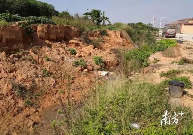 修建前的寨前溪杂草丛生,沟渠淤塞严重,流水不畅。 图片