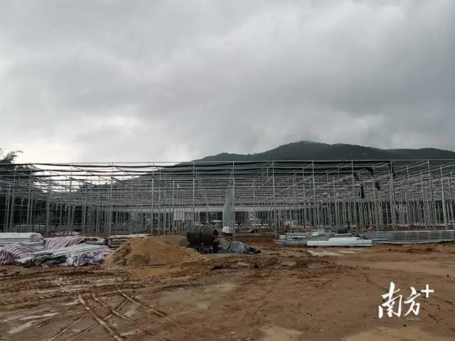 西山休闲综合体项目现场。 图片