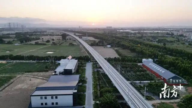 农业龙头企业在乡村产业振兴中的生力军作用尤为明显。 图片