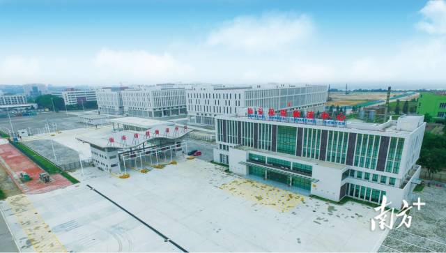 1  南方+ 张晓宜 拍摄