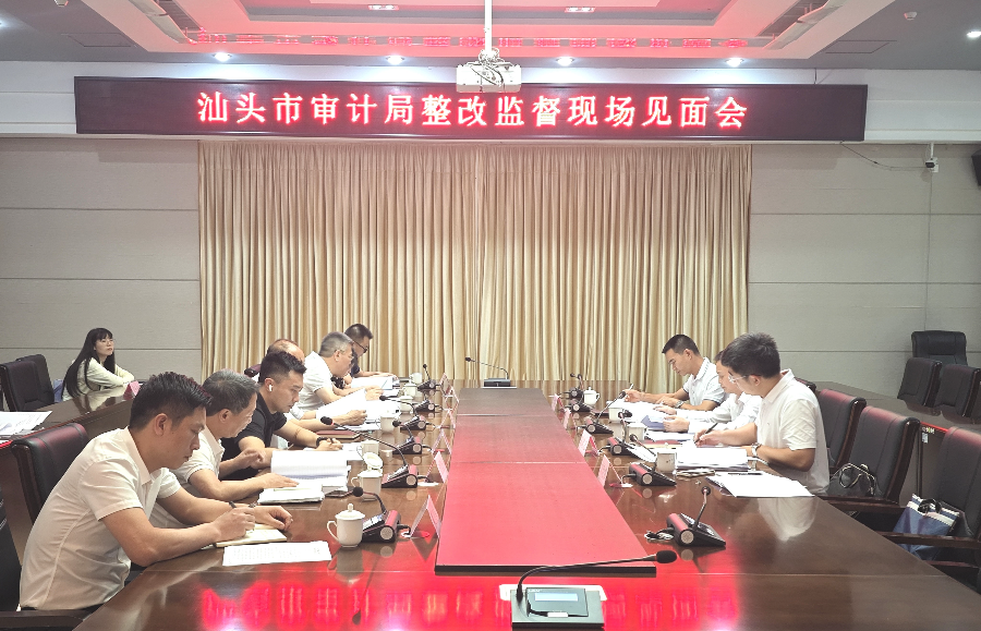 市审计局陈艾龙同志带队到潮南区开展审计整改监督工作