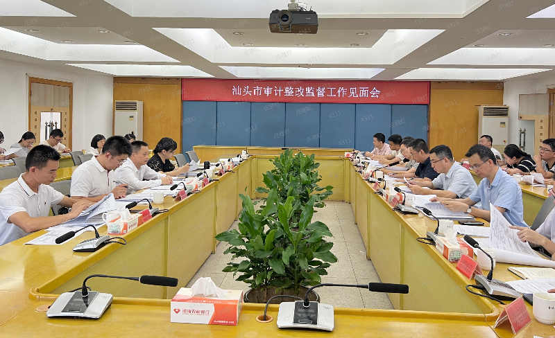 陈艾龙同志带队到澄海区开展审计整改监督工作