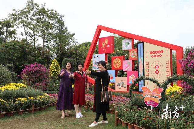菊花展吸引众多市民游客前来打卡。 菊花展吸引众多市民游客前来打卡。