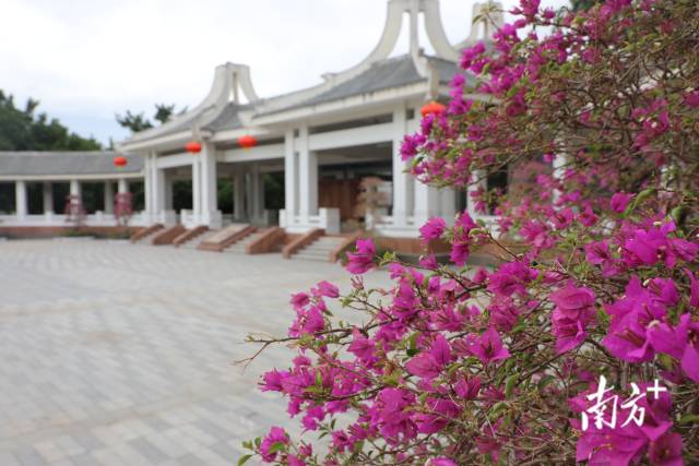 华侨公园内绿树成荫、花繁叶茂。 华侨公园内绿树成荫、花繁叶茂。