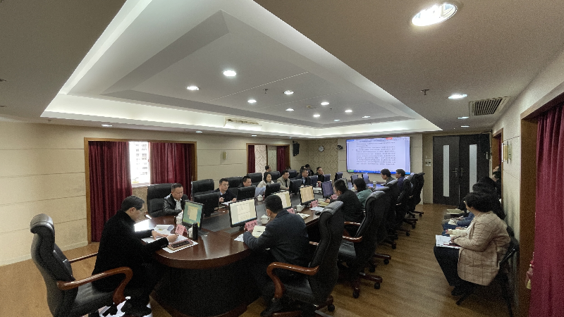 市审计局传达学习市委十二届九次全会精神