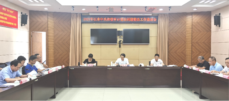 市审计局召开中央和省审计查出问题整改工作推进会