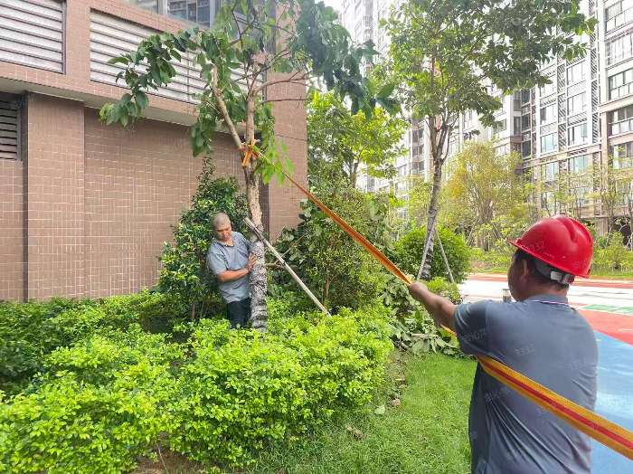 汕头市金砂街道退役军人服务站引领退役军人抗击台风守护家园