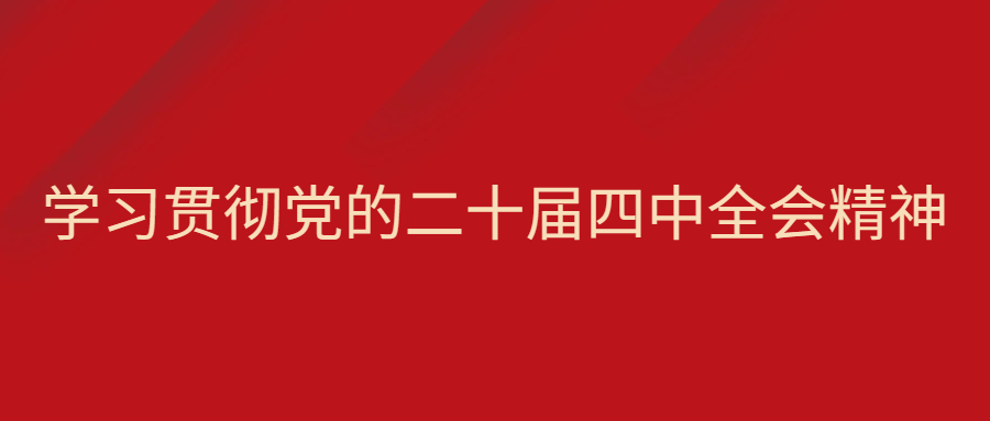 市民政局党组传达学习贯彻党的二十届四中全会精神